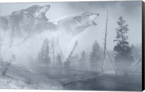 Framed Silver Moon Print