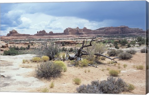 Framed Canyonland 7 Print