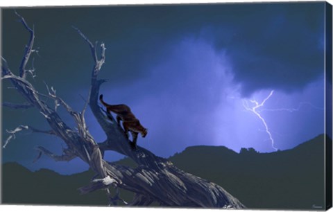 Framed Dark Skies Of The Badlands Print