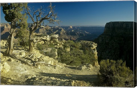 Framed Grand Canyon 6 Print