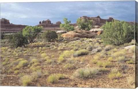 Framed Canyonland 15 Print