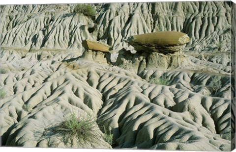 Framed Theodore Roosevelt National Park 18 Print