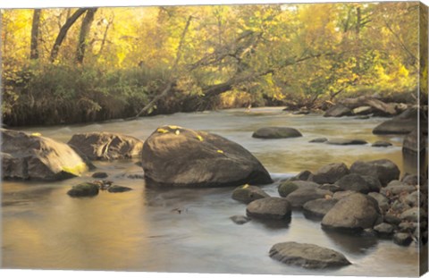 Framed Buffalo River 6 Print