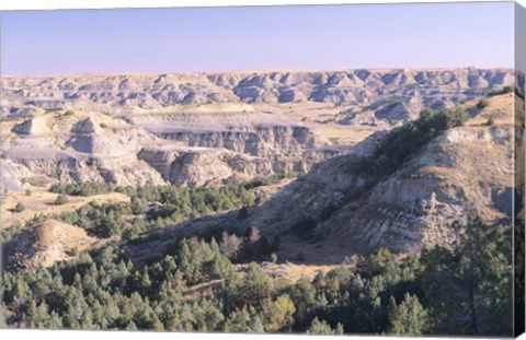 Framed Theodore Roosevelt National Park 51 Print