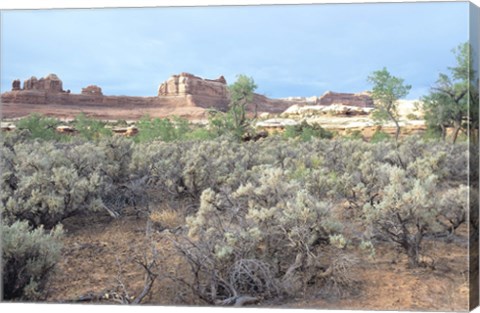 Framed Canyonland 16 Print