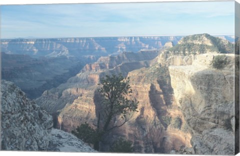 Framed Grand Canyon 5 Print