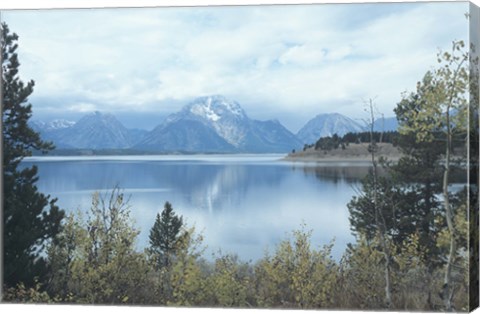 Framed Grand Teton 17 Print