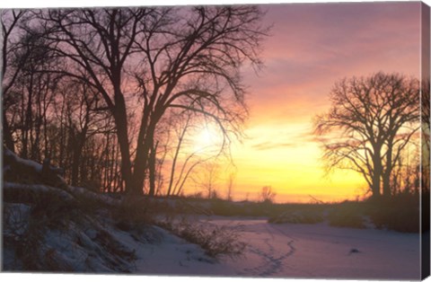 Framed Sunset And Tree Silhouettes In Snow II Print