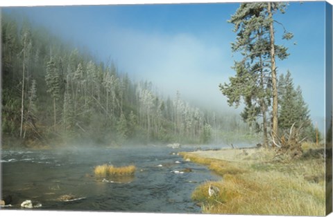 Framed Yellowstone 1 Print