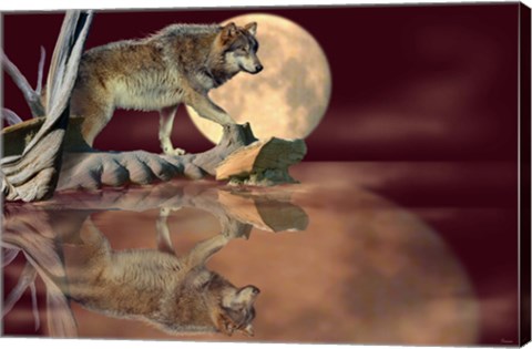 Framed Walking On The Moon Print