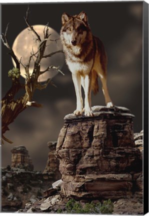 Framed Moonlighter Print