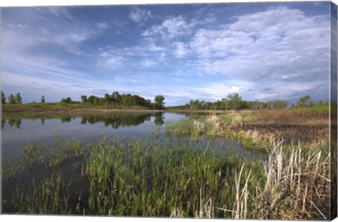 Framed Blue Sky And Lake Landscape Print
