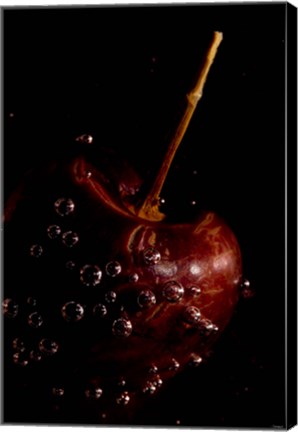 Framed Cherry Covered In Water Drops IV Print