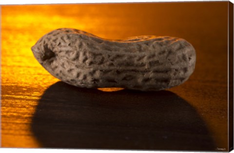 Framed Peanut On Bar Print