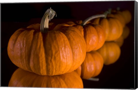 Framed Pumpkin Reflections Print