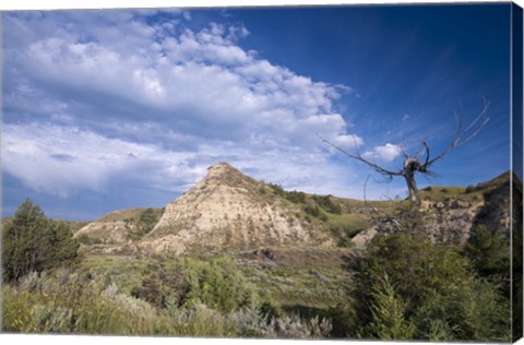 Framed Mountain And Green Field Print