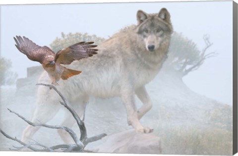 Framed Silent Encounter Print