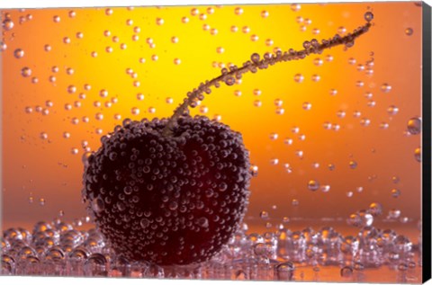 Framed Cherry Underwater Covered In Water Drops II Print