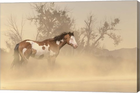 Framed Misty River Horse Print