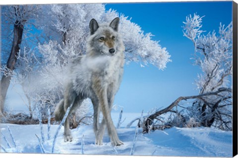 Framed Frosted Print