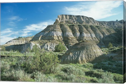 Framed Theodore Roosevelt National Park 2 Print