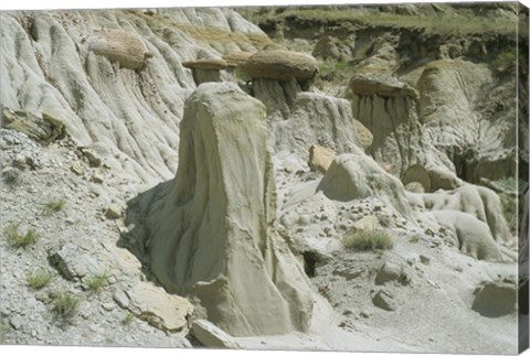 Framed Theodore Roosevelt National Park 25 Print