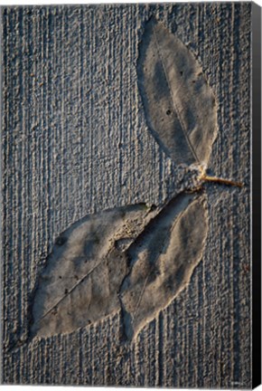 Framed Cement Autumn 1336 Print