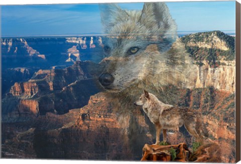 Framed Haunted Canyon Print