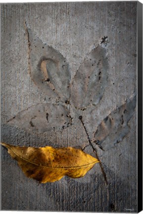 Framed Cement Autumn 1295 Print