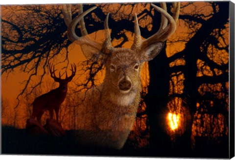 Framed Silhouettes Of Autumn Print