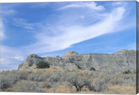Framed Theodore Roosevelt National Park 46 Print