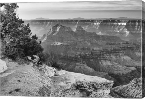 Framed Grand Canyon 2 Print
