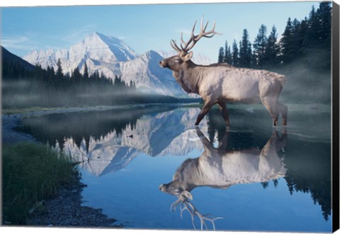 Framed Reflections Of Glacier Print