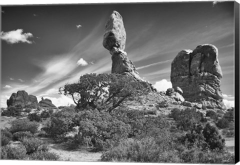 Framed High Rock And Tree Print