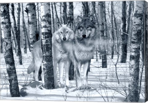 Framed Snow Shadows Silvertones Print