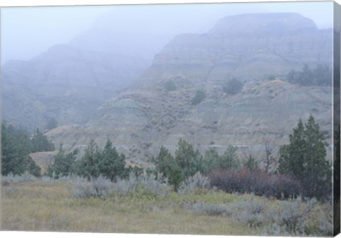 Framed Theodore Roosevelt National Park 10 Print