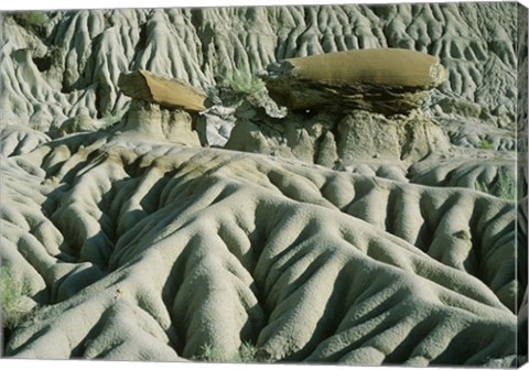 Framed Theodore Roosevelt National Park 19 Print