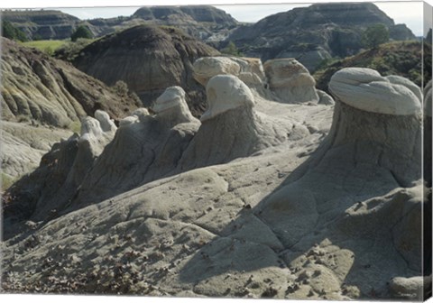 Framed Theodore Roosevelt National Park 21 Print