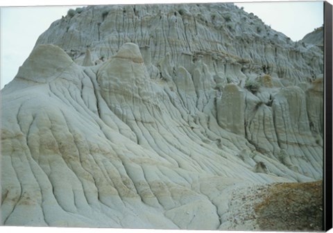 Framed Theodore Roosevelt National Park 28 Print