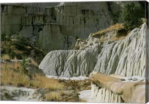 Framed Theodore Roosevelt National Park 3 Print