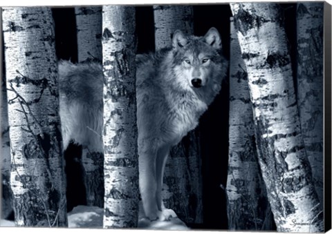 Framed Silver Tone Moon Shadows Print