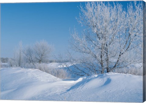 Framed Snow Terrain II Print