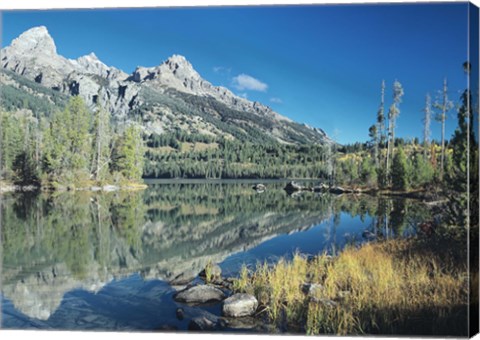 Framed Grand Teton 9 Print
