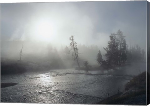 Framed Yellowstone 5 Print