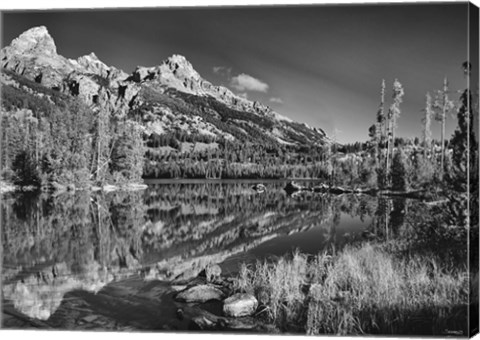 Framed Grand Teton 9 Print
