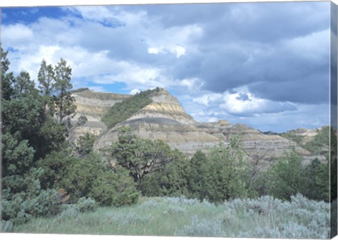 Framed Theodore Roosevelt National Park 1 Print