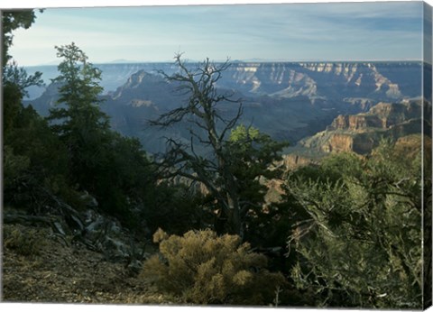 Framed Grand Canyon 3 Print