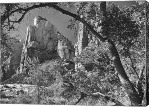 Framed Zion 3 Print