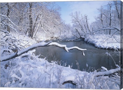 Framed Buffalo River Snow 41 Print