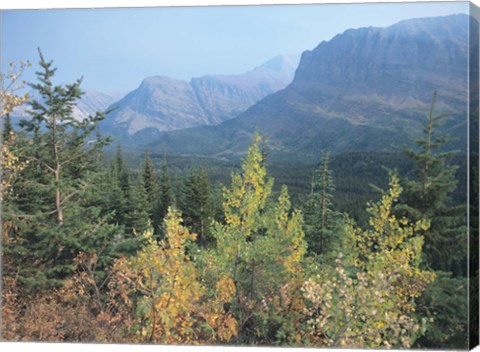 Framed Blue Mountains And Fall Trees Print